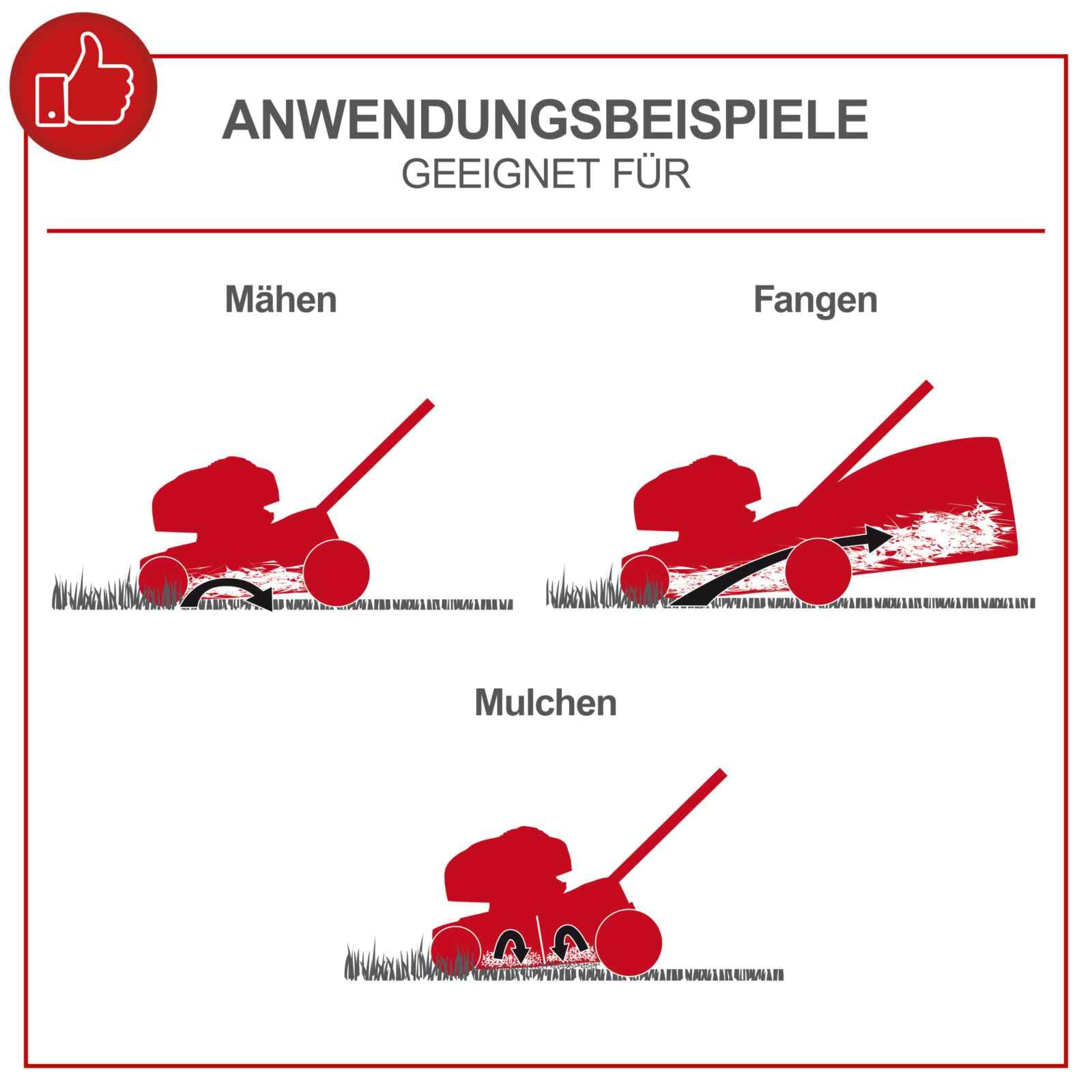 Scheppach motorna kosačica kosilica MS173-51 4.1 KS - Image 10