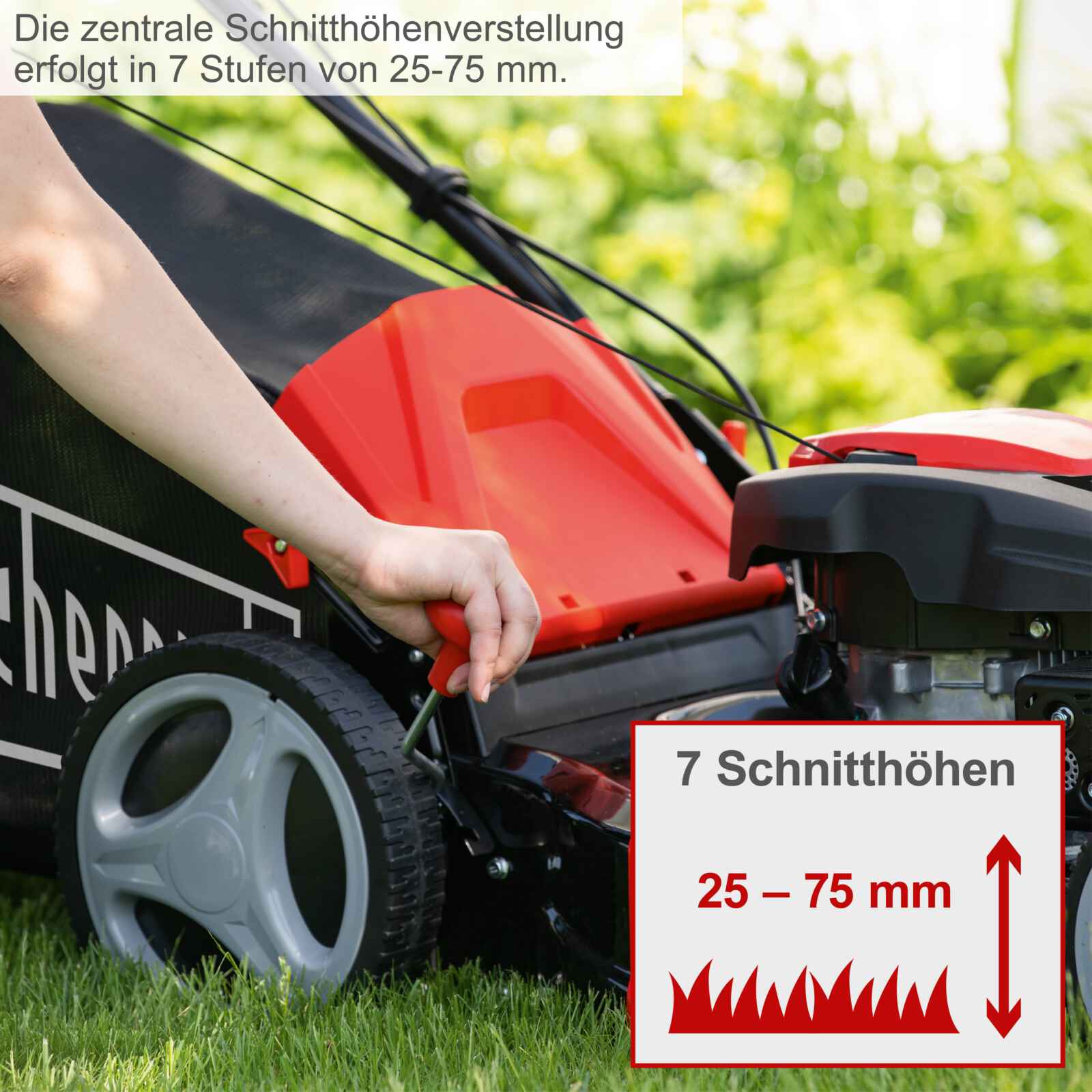 Scheppach motorna kosačica kosilica MS173-51 4.1 KS - Image 4