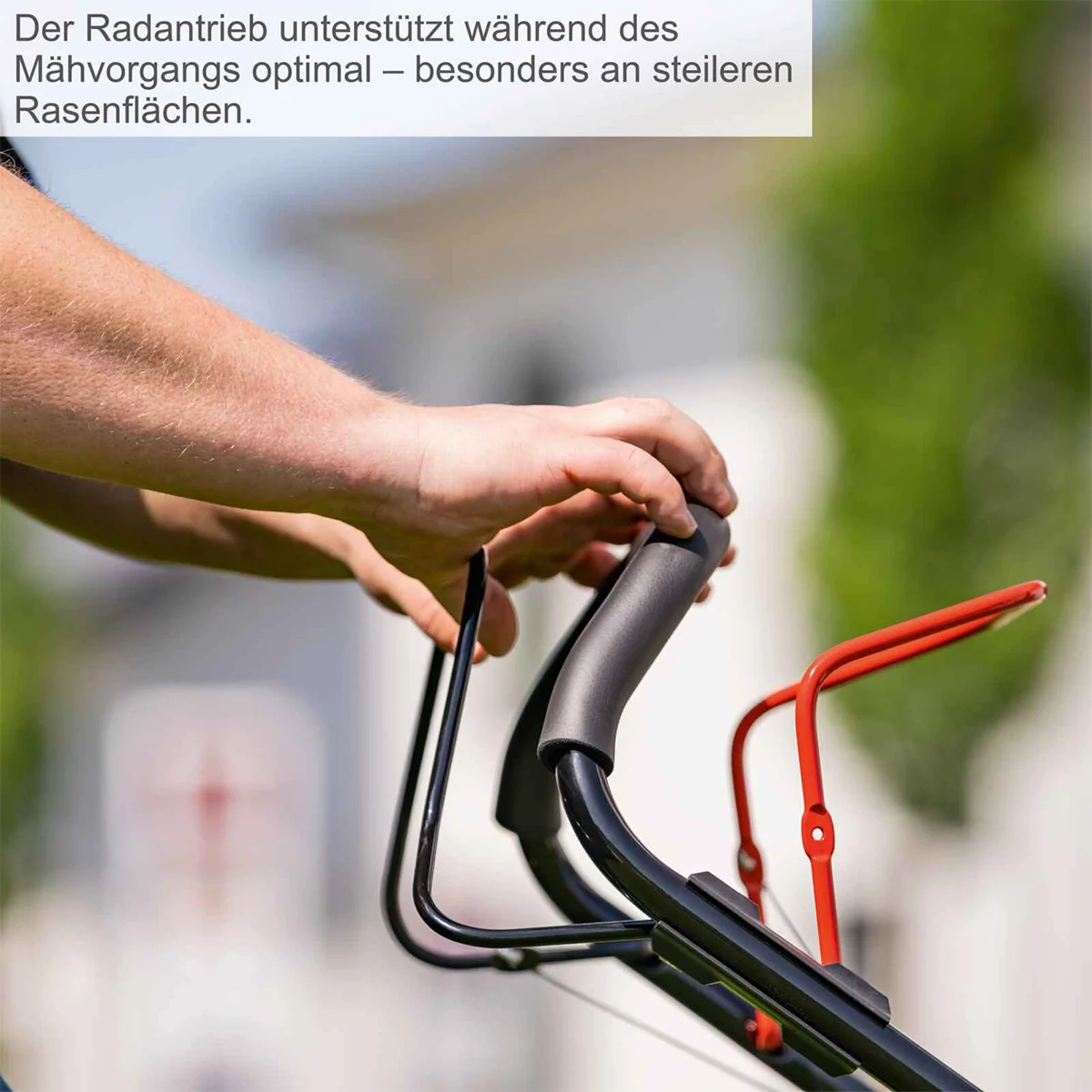 Scheppach motorna kosačica kosilica MS225-56 6.0 KS - Image 4