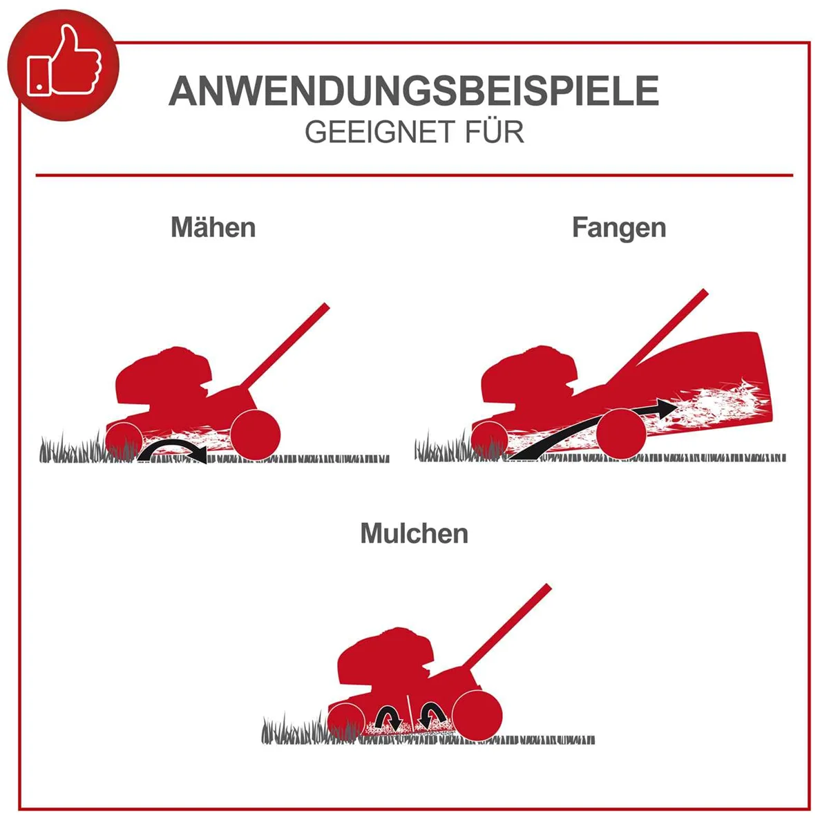 Scheppach motorna kosačica kosilica MS225-56 6.0 KS - Image 2